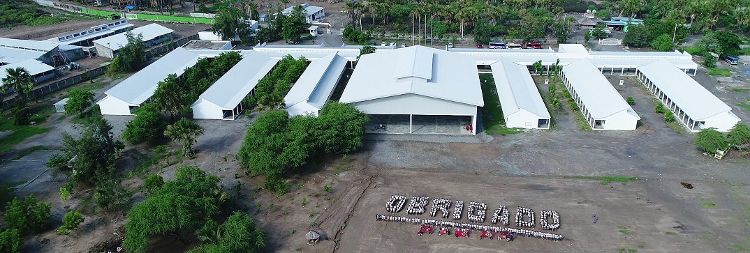 School buildings