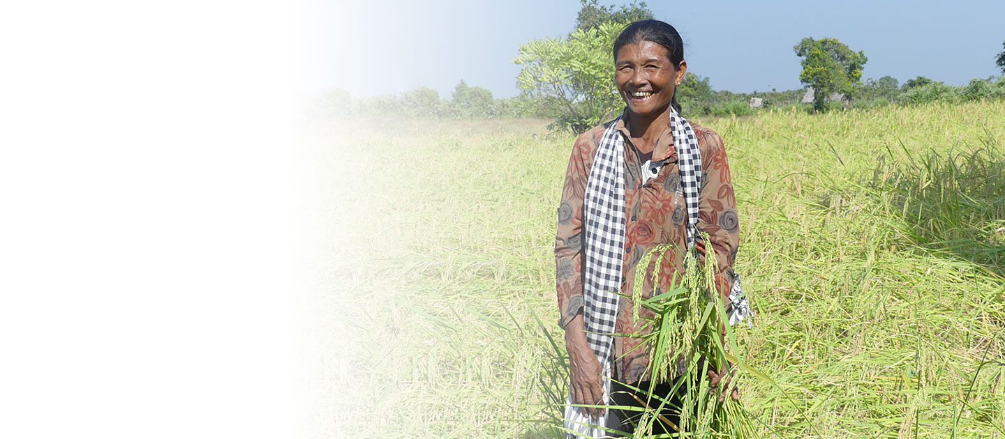 Farmer in Cambodia