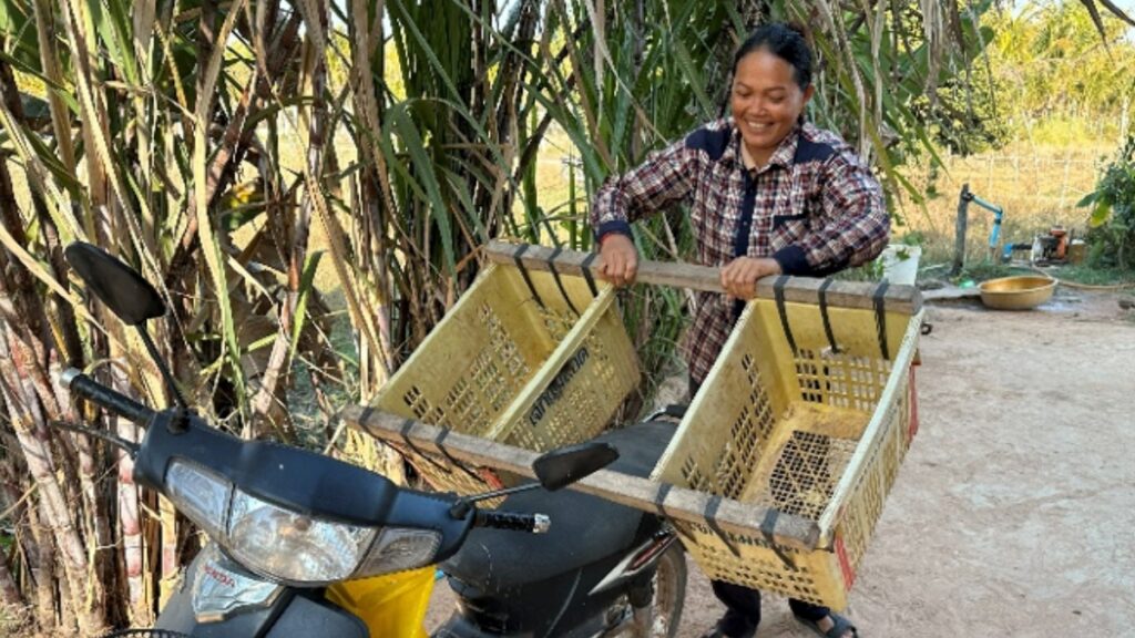 Tut Nga preparing her motorbike to sell her fruit.