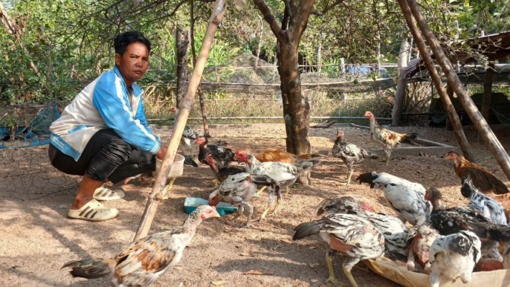 Chem feeding the birds