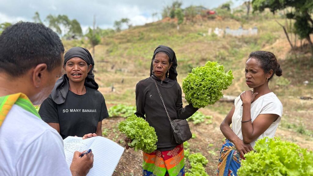 Farmers with lettuces in their hands talking to our local partner in the field